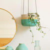 Shoreline hanging planter containing a string of hearts hangs next to a circular mirror and blue vases. The vase is dipped in a turquoise glaze at the base and a light pink glaze around the rim, both separated by a band of raw clay.
