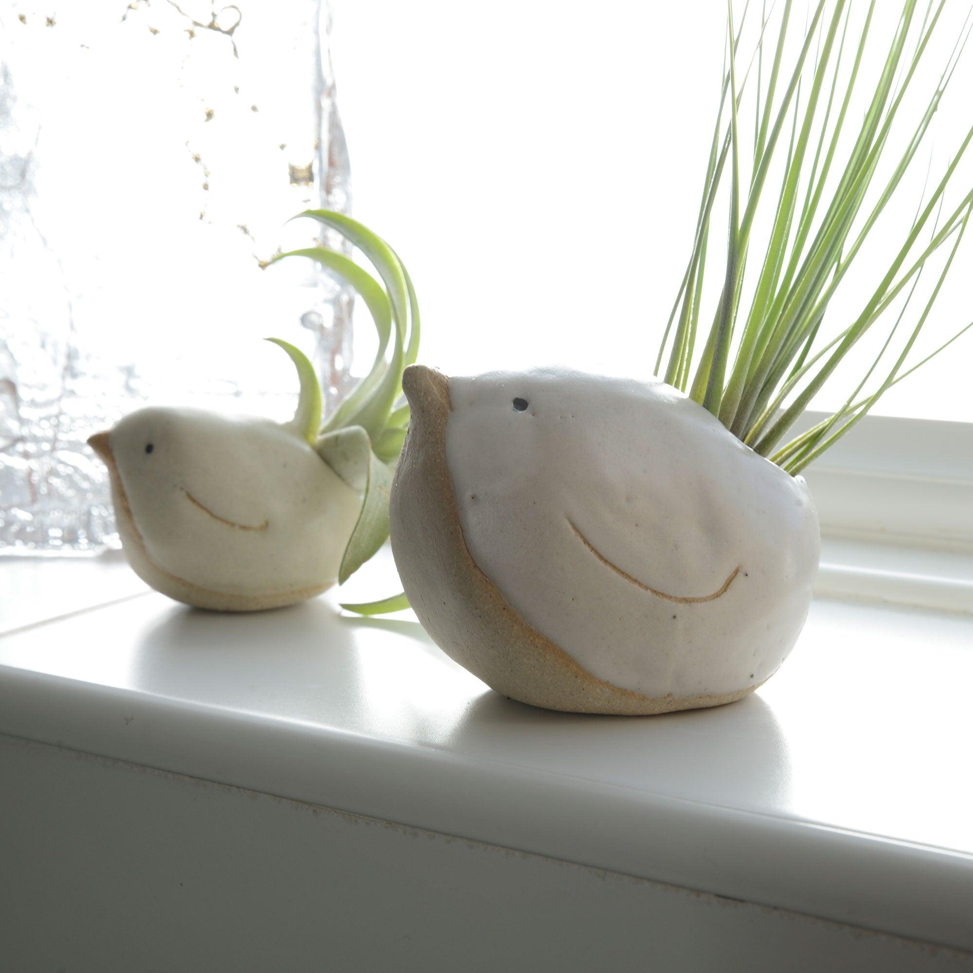 Small and large white birds with air plants on windowsill