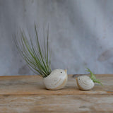Alternate side view of small and large white birds with air plants