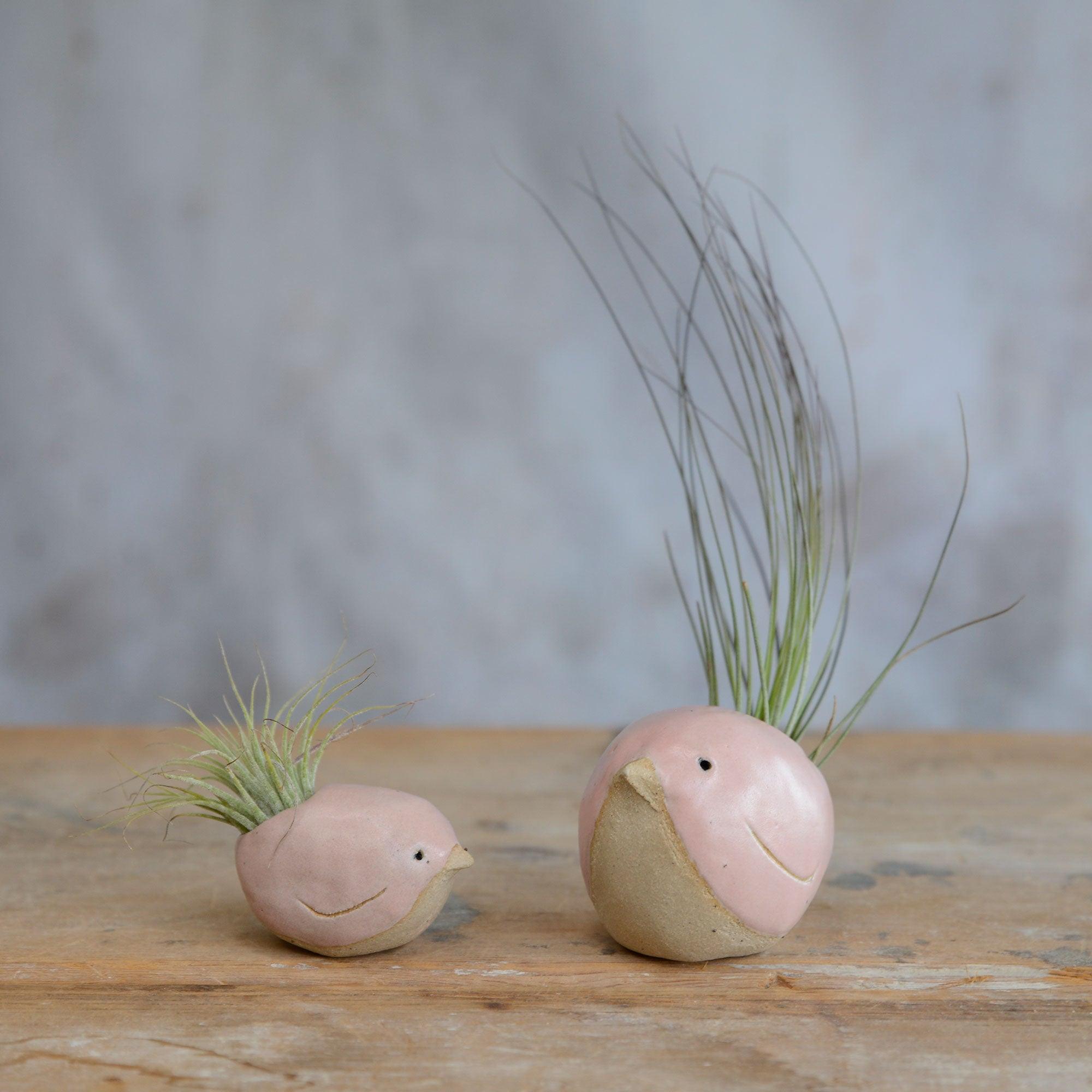 Alternate view of small and large pink birds with air plants