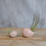 Alternate side view of small and large pink birds with air plants
