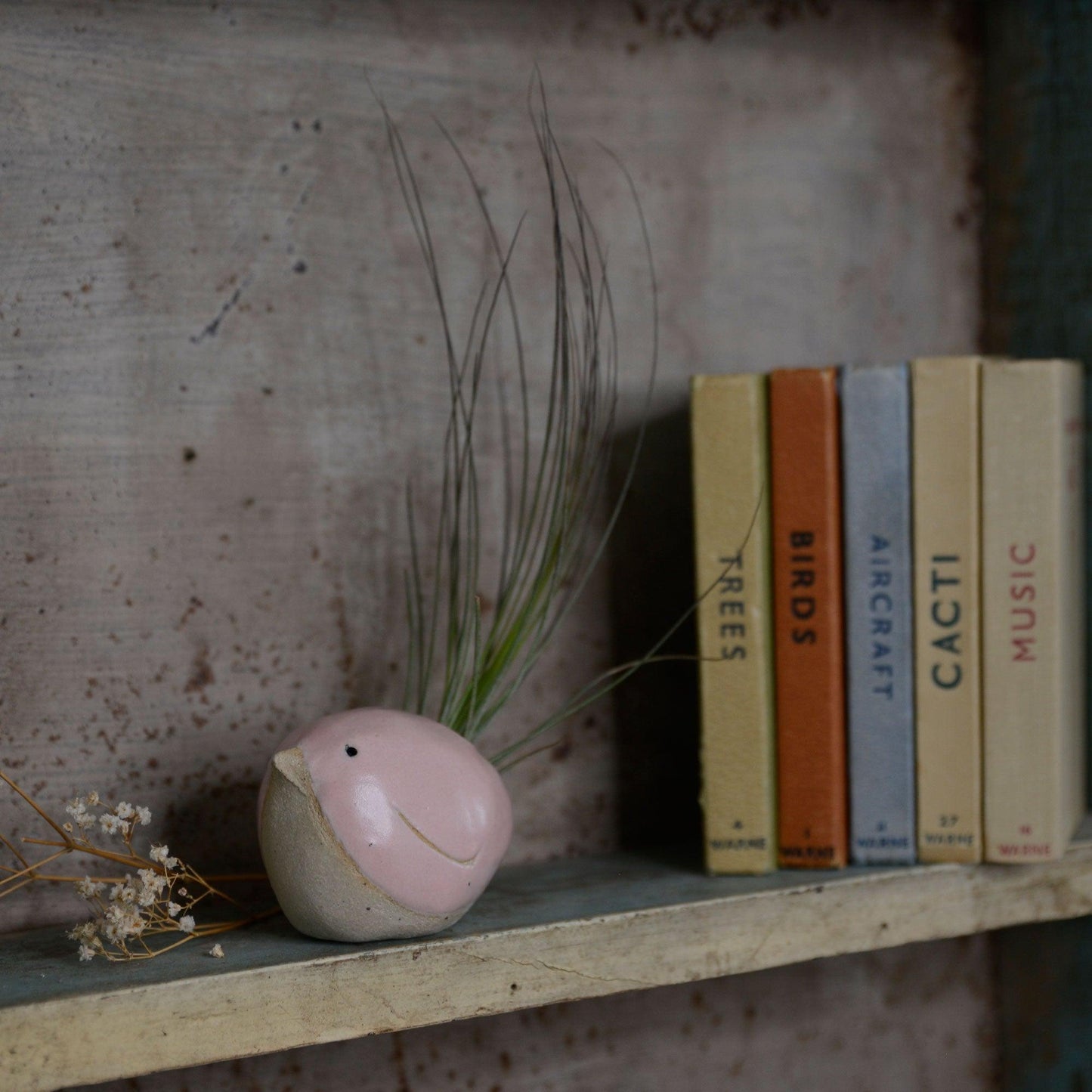 Large pink bird with Juncifolia on bookshelf with old books