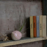 Large pink bird with Juncifolia on bookshelf with old books