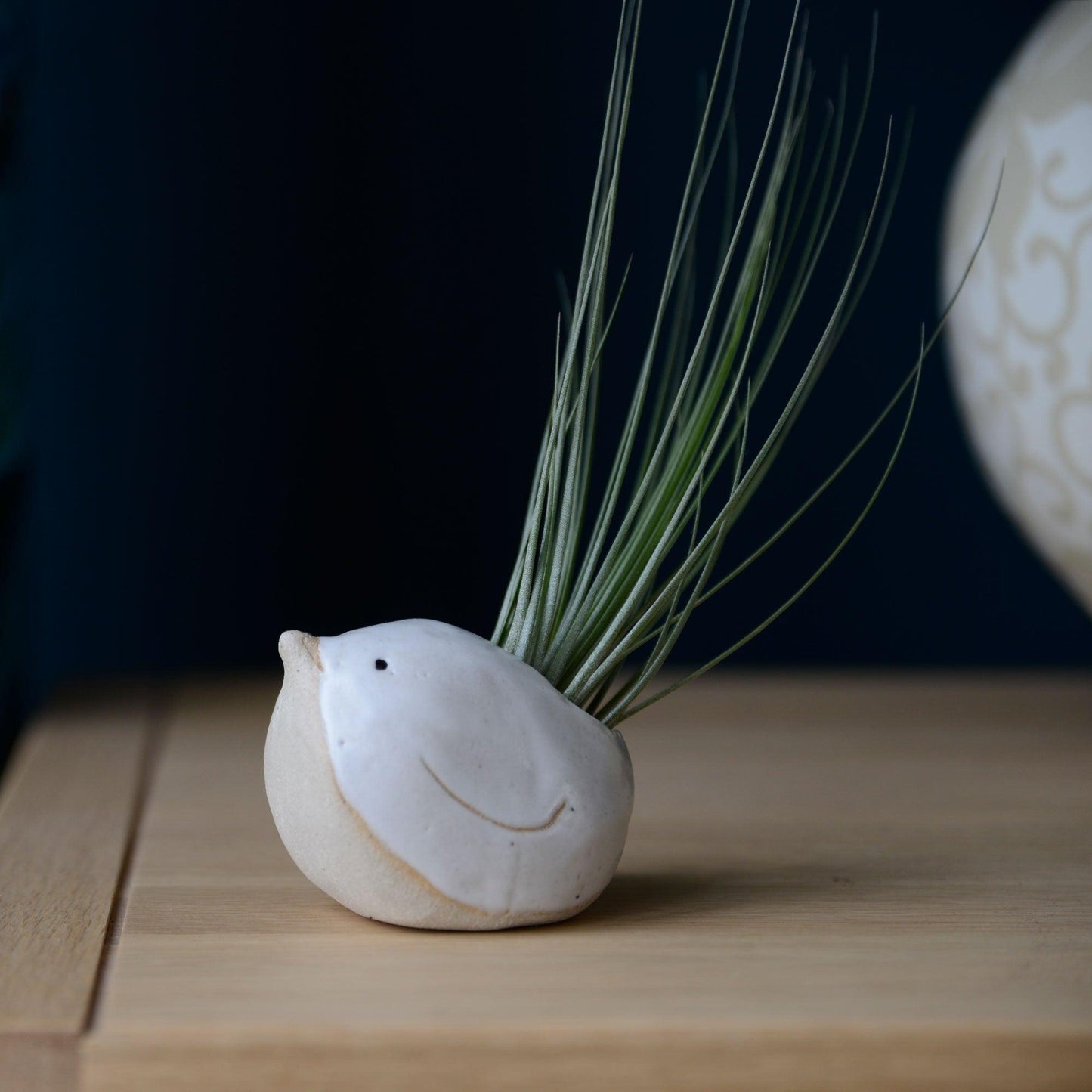 Large white bird with Juncifolia tail on mantle