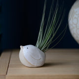 Large white bird with Juncifolia tail on mantle