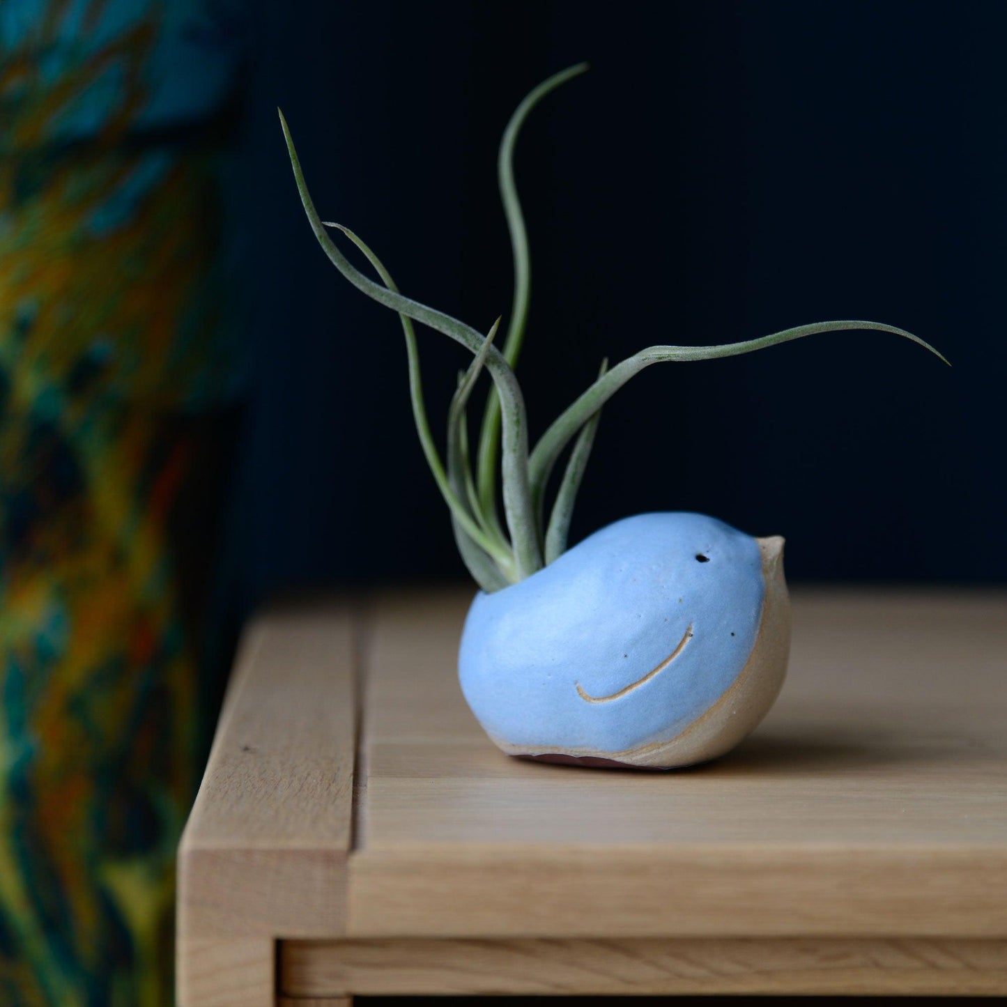 Large blue bird with Caput air plant on mantle
