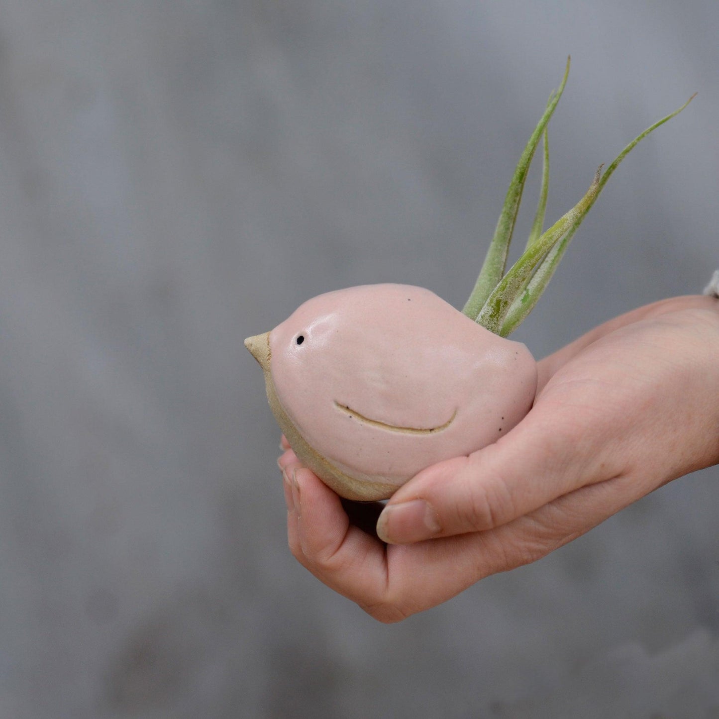 Large pink bird being held in hand for size reference