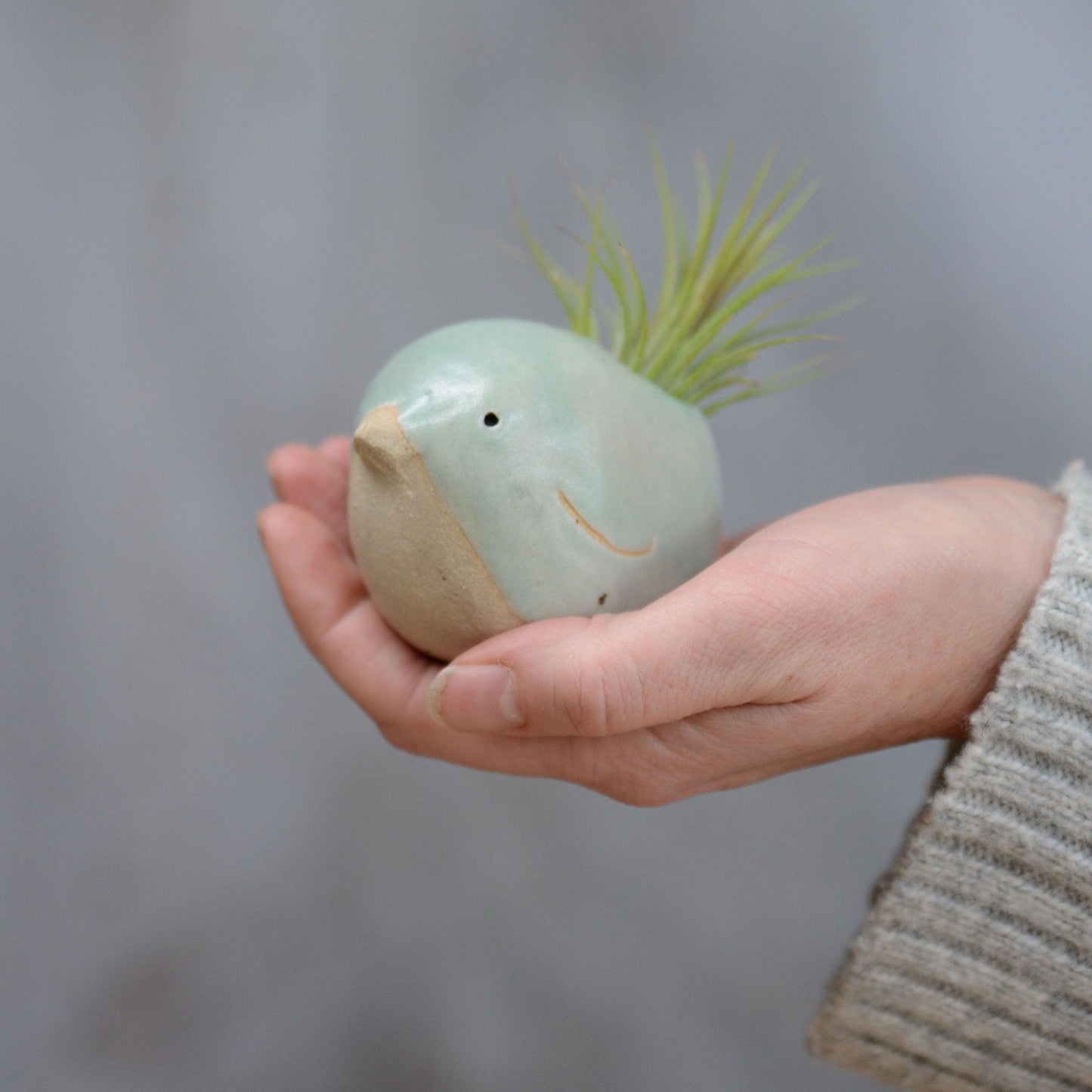 Large bird with Ionantha tail in hand for size reference