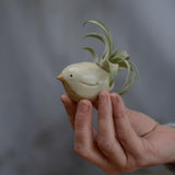 Small yellow bird being held in hand for size reference