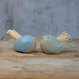 Large blue and green birds with different coloured match tails