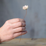 Hand holding pink ceramic flower bud stem