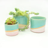 Set of all 3 sizes shoreline plant pots