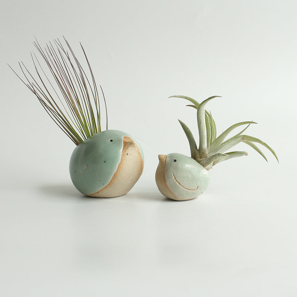 Bird Air Plant Holder | Air Plant Holders