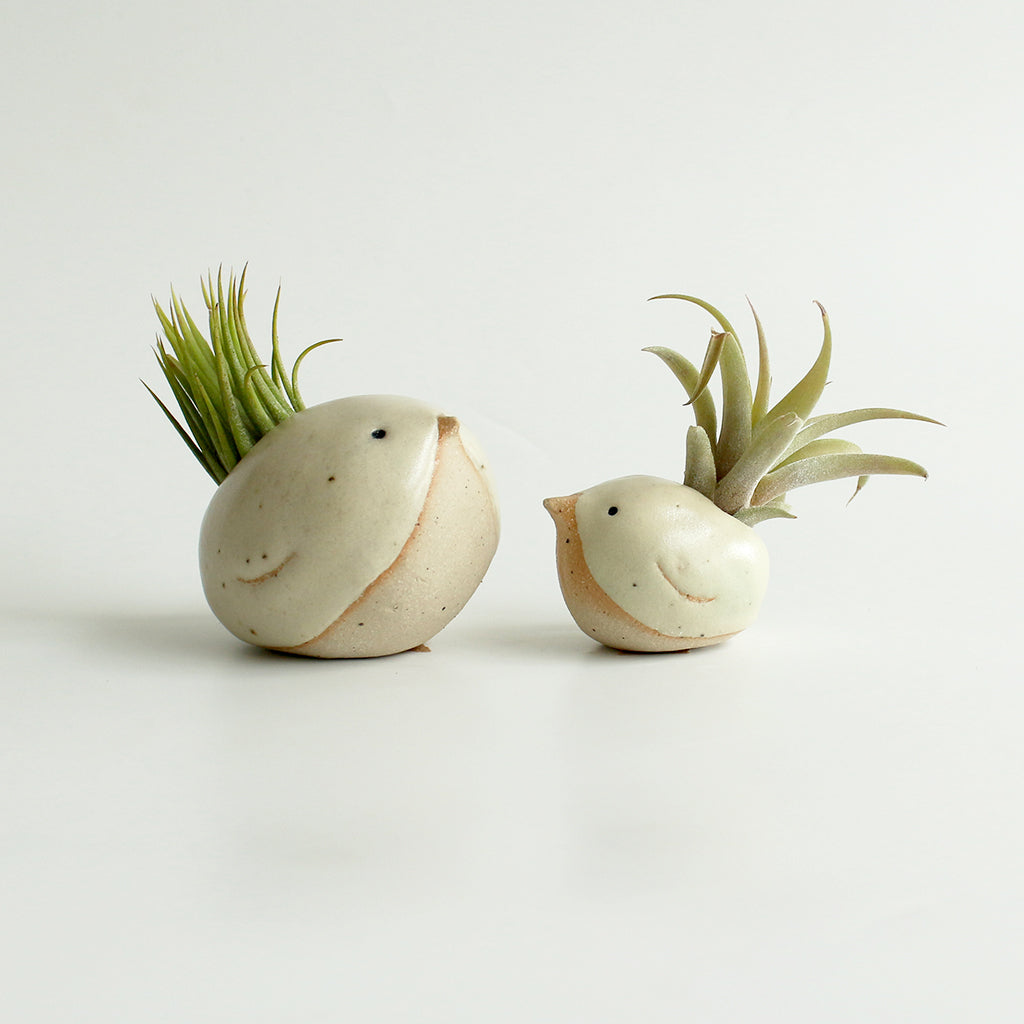 Large and small yellow birds with air plant 'feather' tails