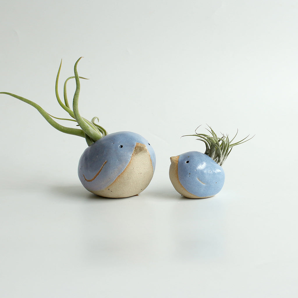 ceramic air plant hangers Blue Bird Air Plant Holders | Plant Gift