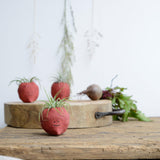 Beetroot Air Plant Holder Pot - Habulous