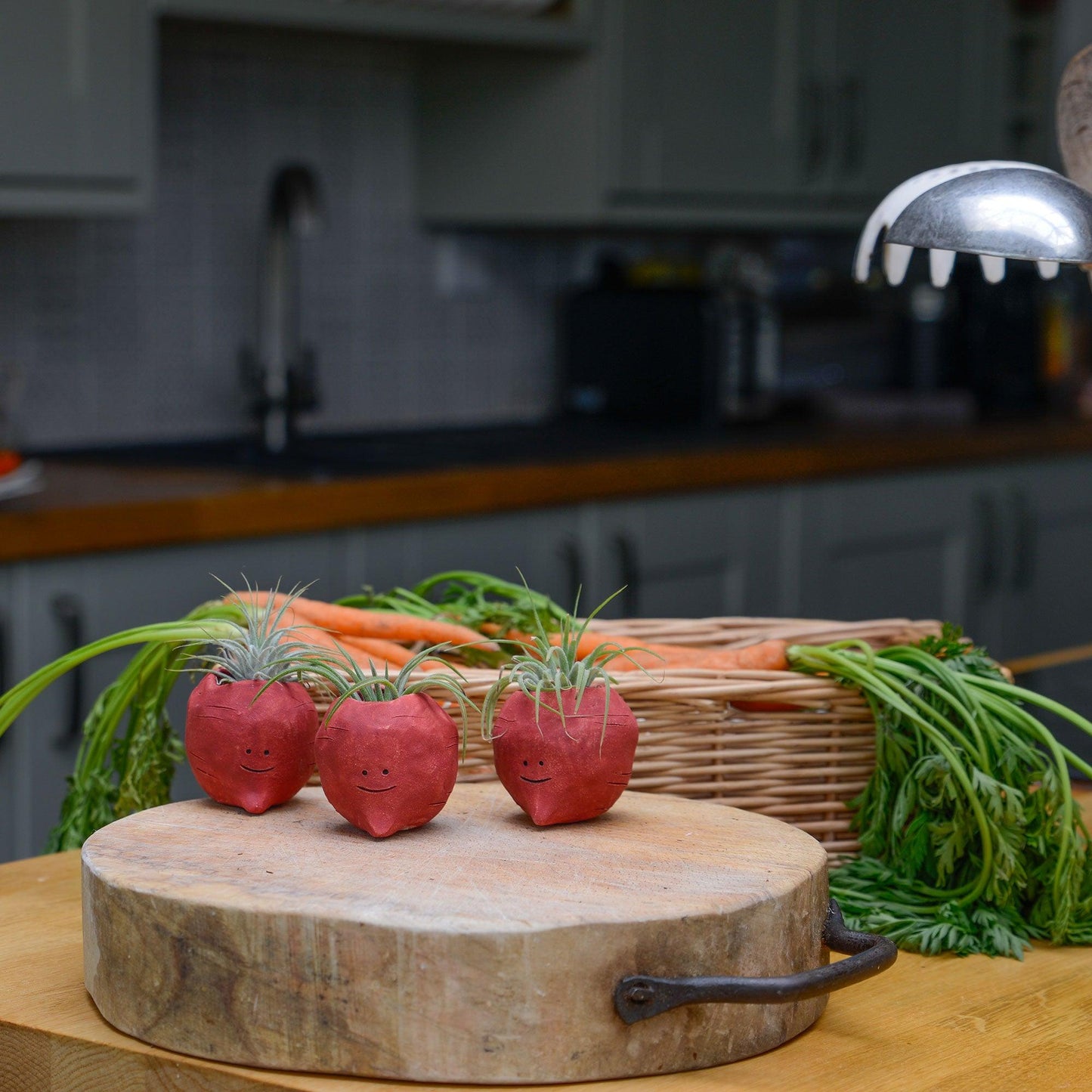 Beetroot Air Plant Holder Pot - Habulous