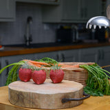 Beetroot Air Plant Holder Pot - Habulous