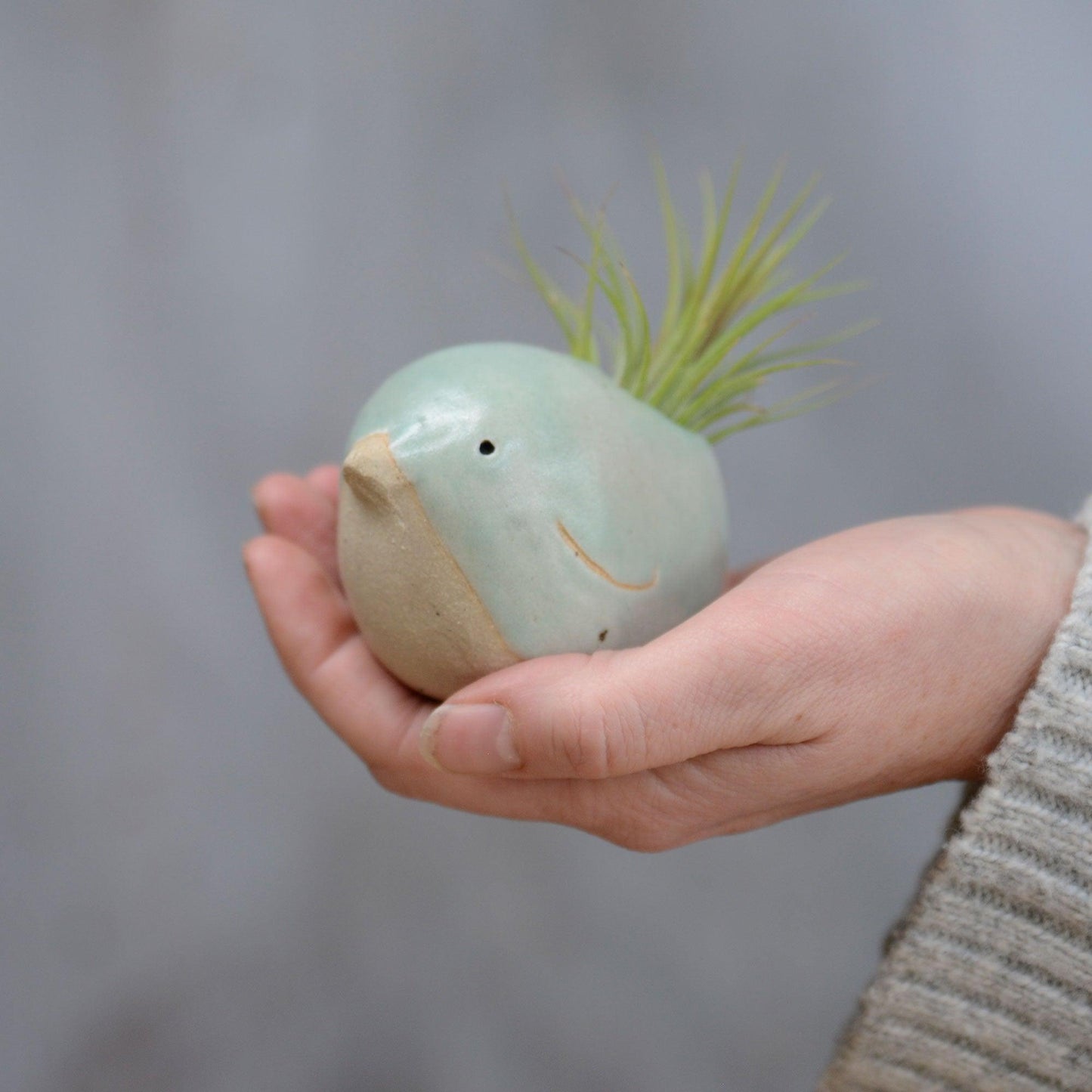 Large green bird with Ionantha tail in hand for size reference