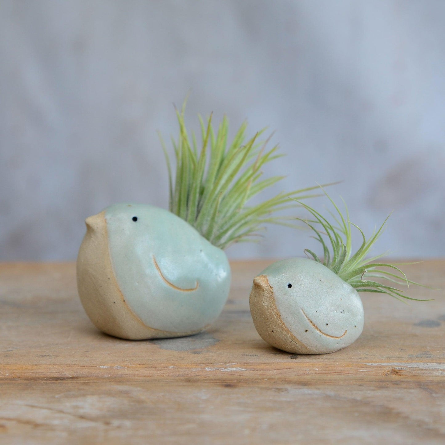 Alternate side view of small and large green birds with air plants