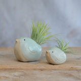 Alternate side view of small and large green birds with air plants