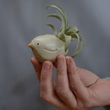 Small yellow bird being held in hand for size reference