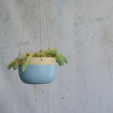 Blue stoneware planter hanging with a plant in