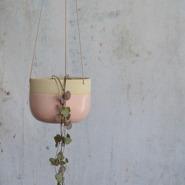 Pink planter hanging with trailing string of hearts