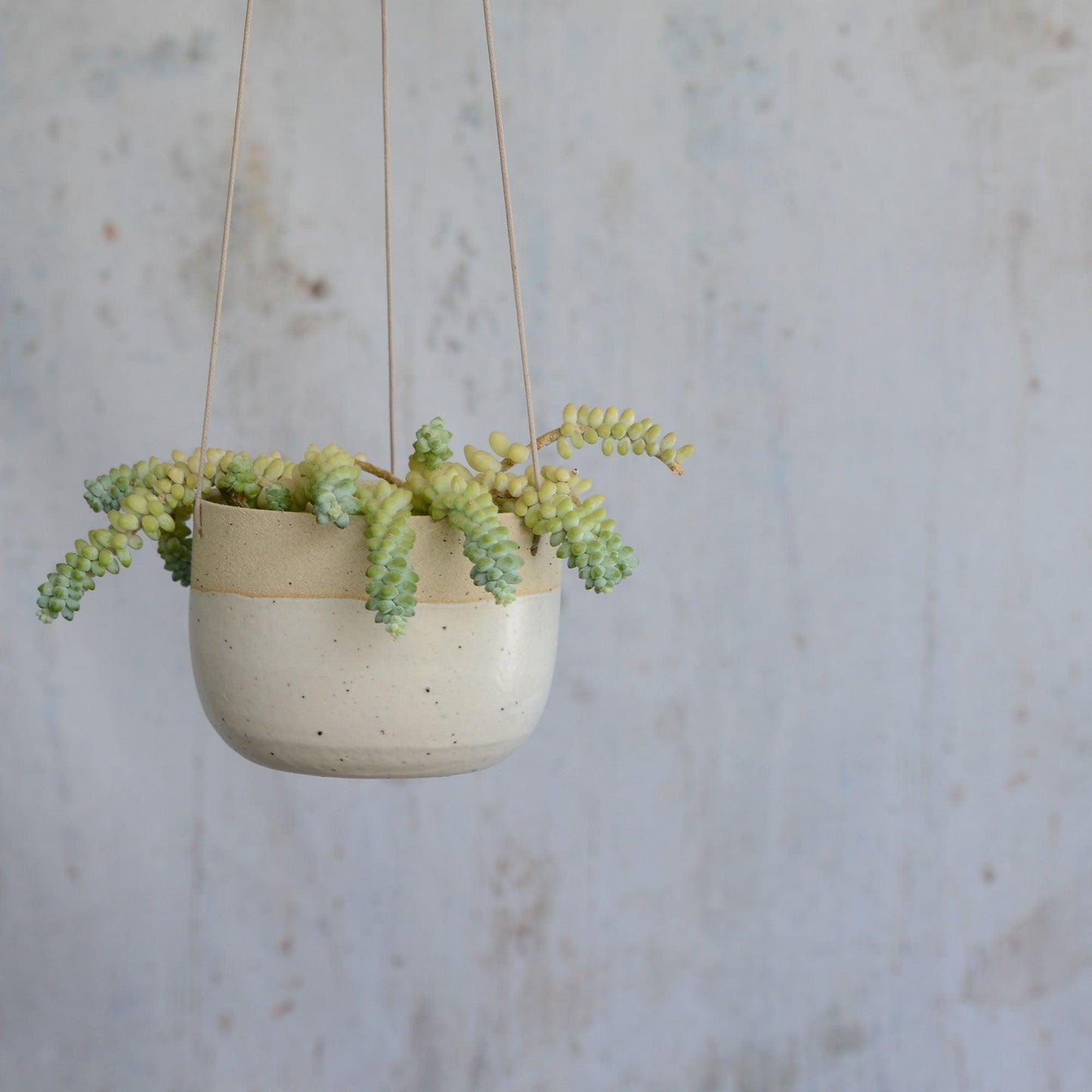 Off-white stoneware planter hanging