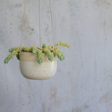 Off-white stoneware planter hanging