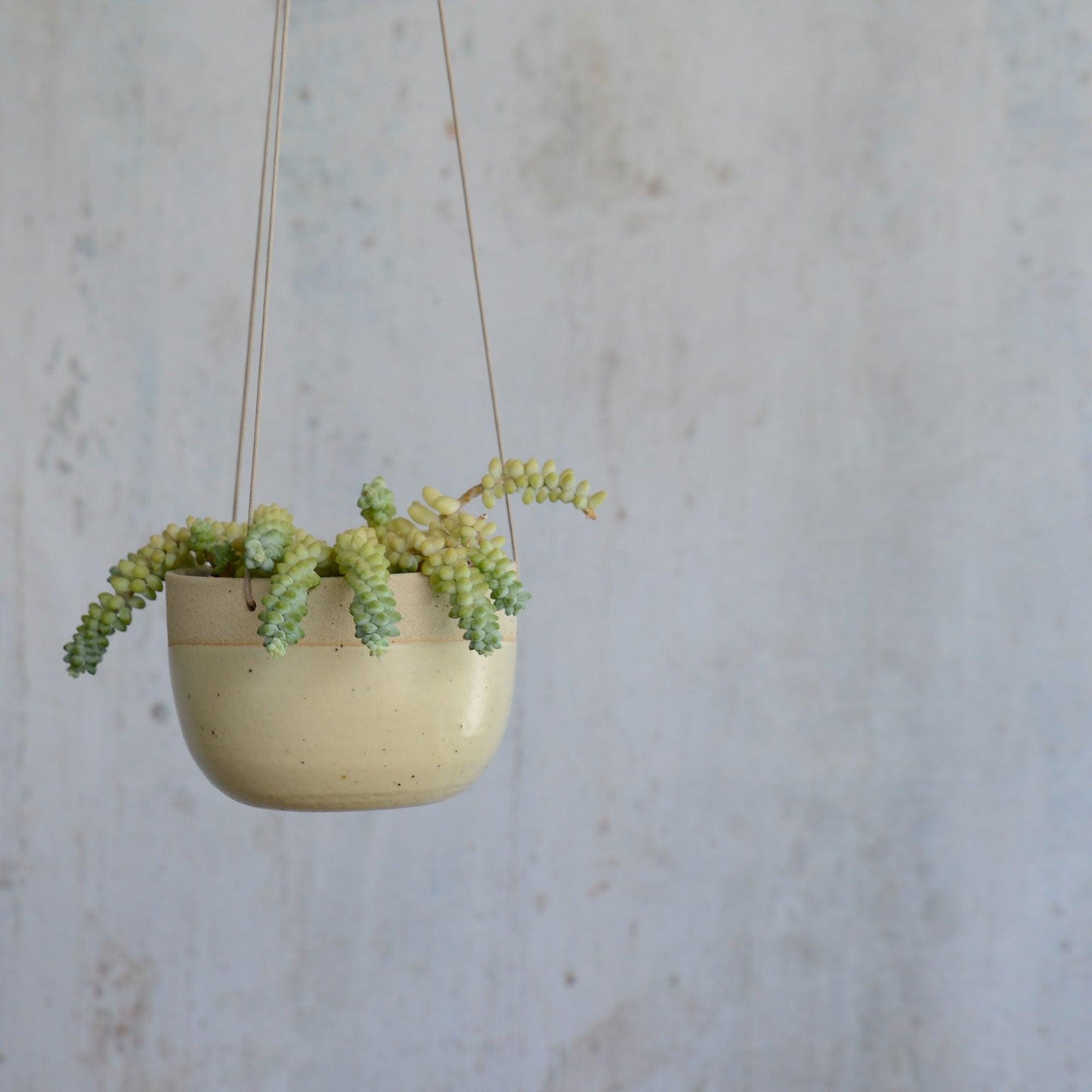 Light yellow planter hanging with plant in