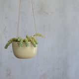 Light yellow planter hanging with plant in