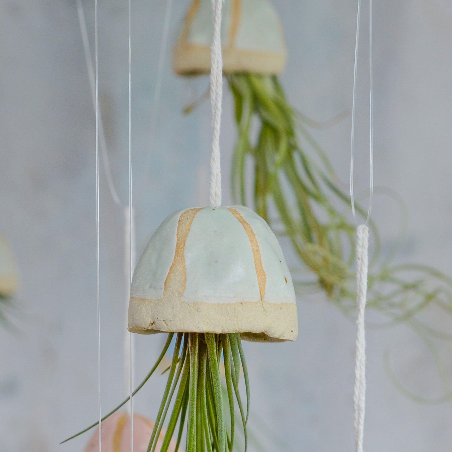 Close up of mint green shell
