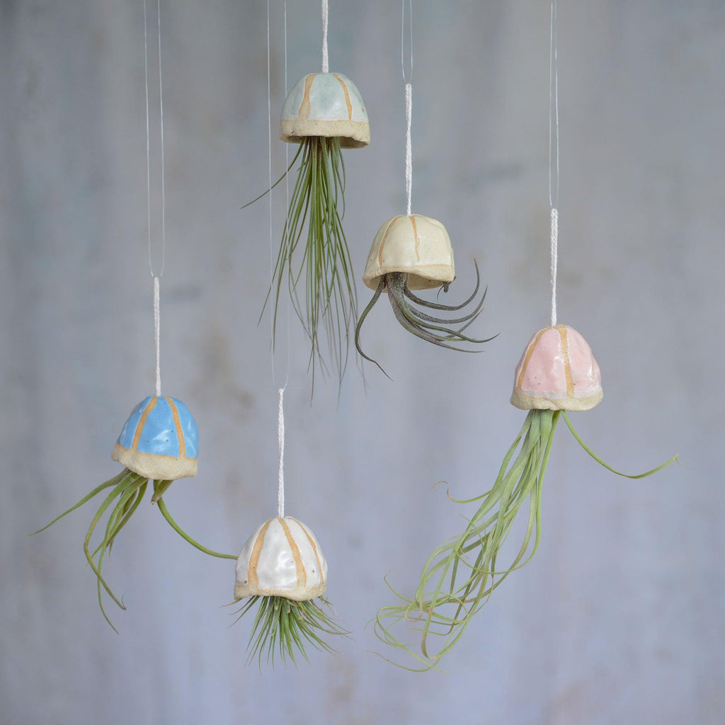 hanging jellyfish air plant Jellyfish Air Plant Holders | Unique Air Plant Hangers