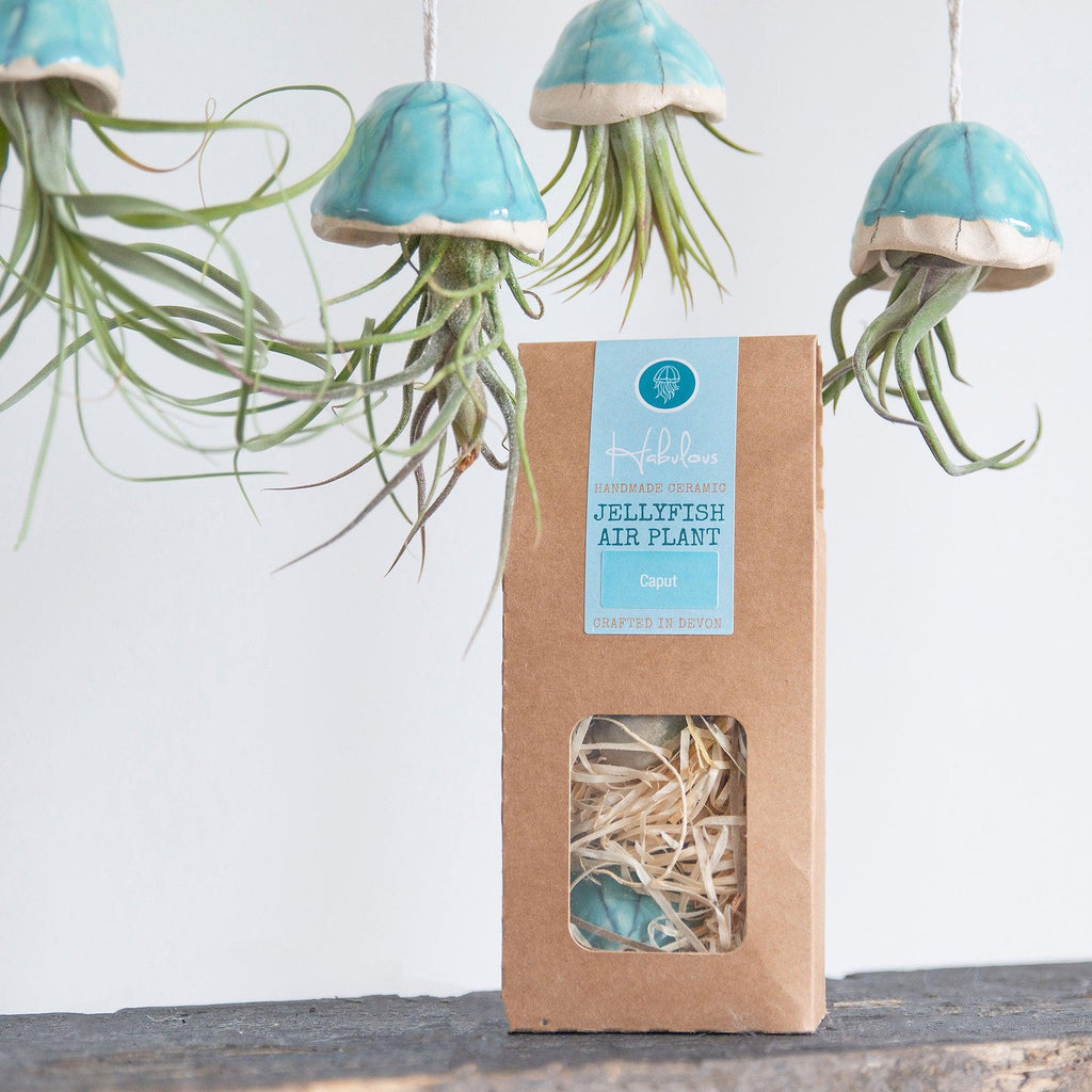 ceramic jellyfish air plant Jellyfish Air Plants | Indoor Plant Holder