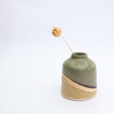 Close up of Mini Vase with a dried seed head in