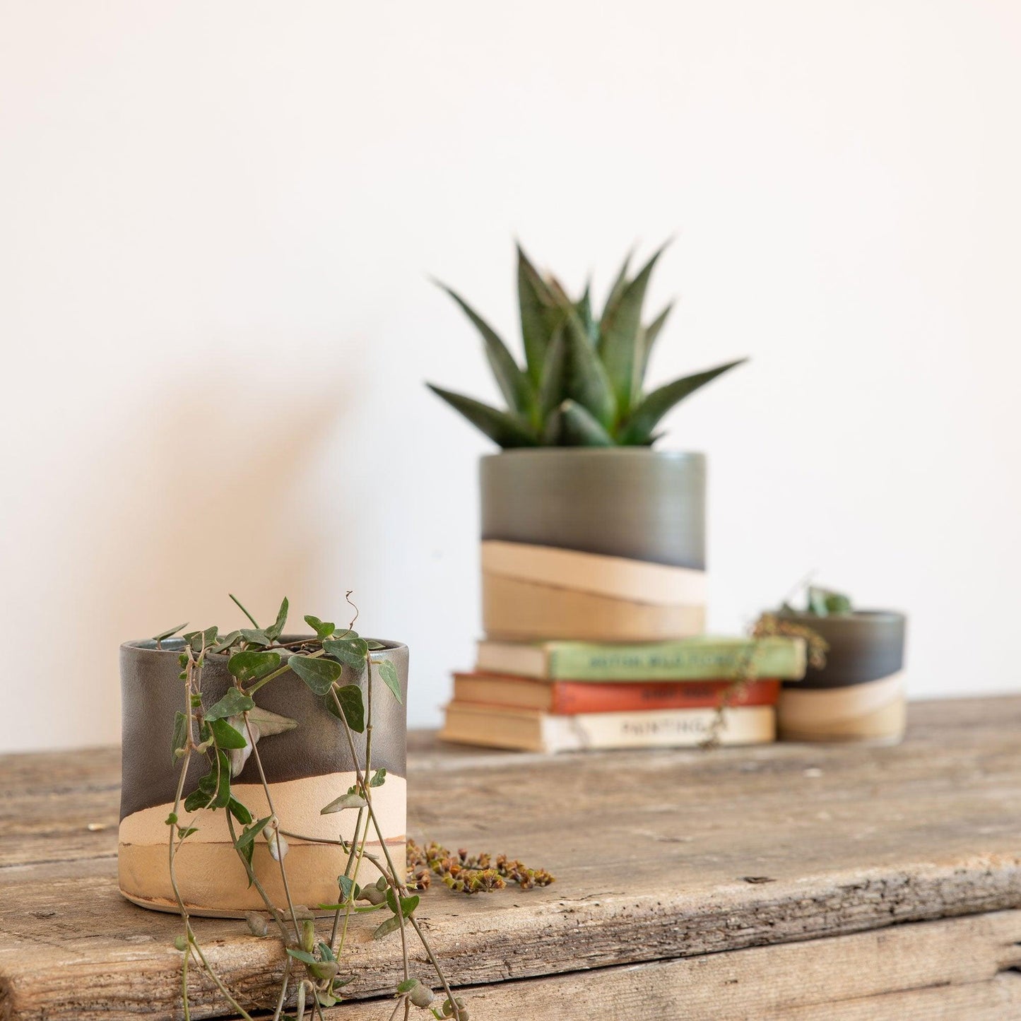 Focus on the plant pot containing the string of hearts. In the background the large and the small moorland plant pot sit on and beside the stack of vintage books