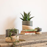 Focus on the plant pot containing the string of hearts. In the background the large and the small moorland plant pot sit on and beside the stack of vintage books
