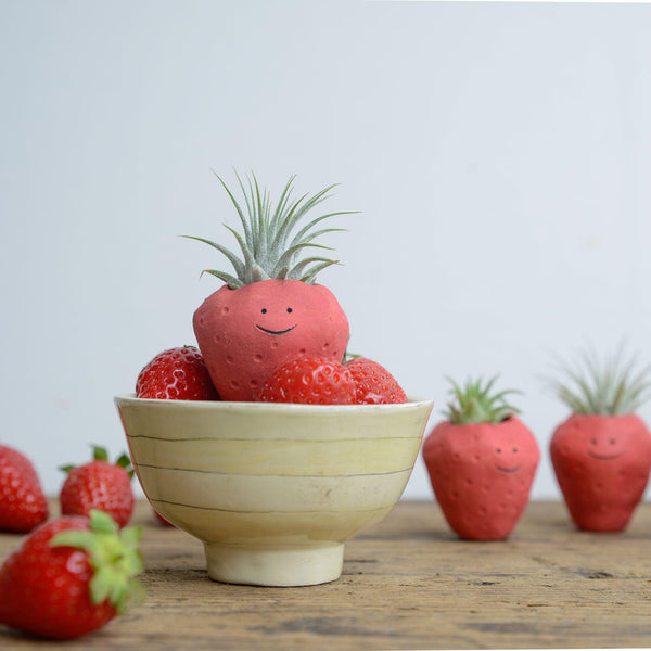 Strawberry Air Plant Holder Pot - Habulous