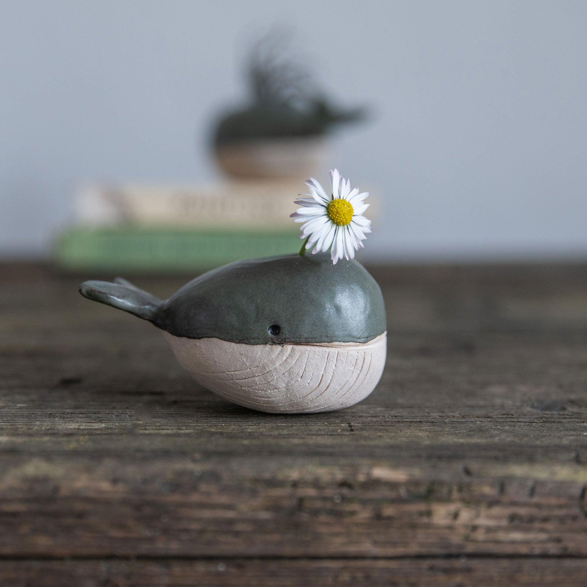 Whale Bud Vase Air Plant Holder - Habulous