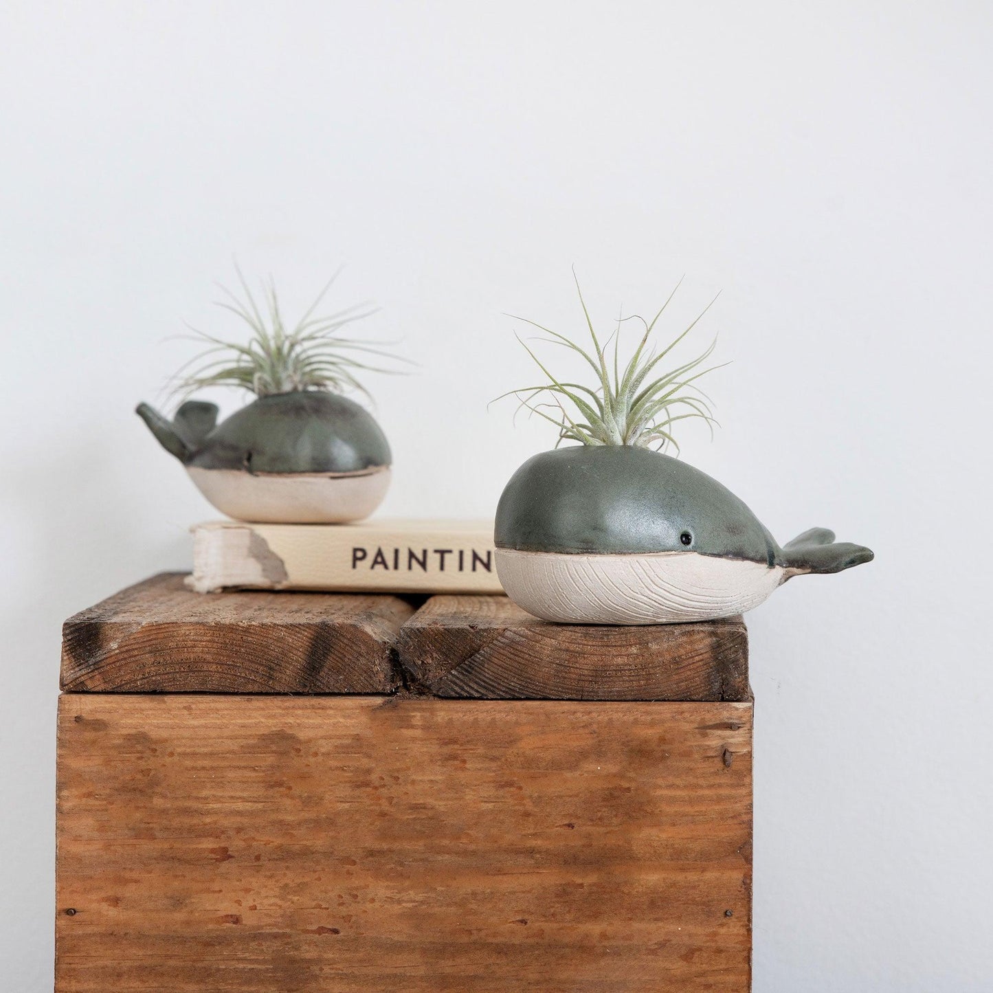 Whale Bud Vase Air Plant Holder - Habulous