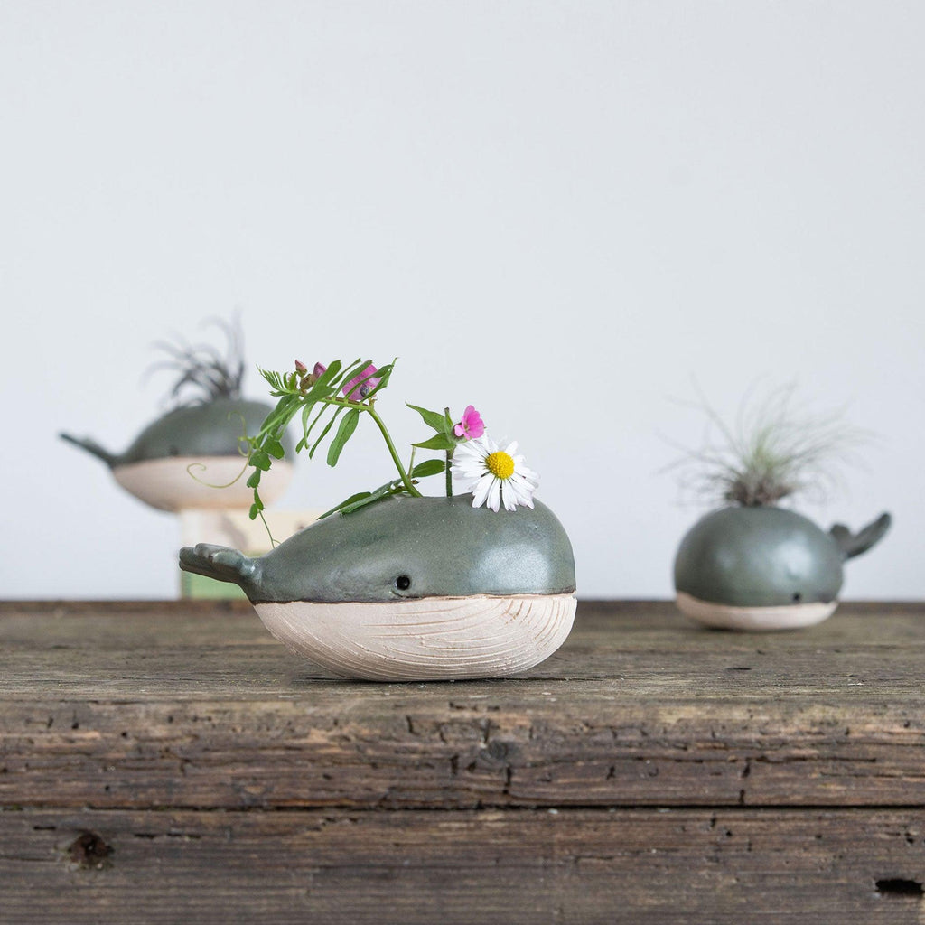 pottery air plant holder Whale-Bud-Vase-Air-Plant-Holder – Habulous
