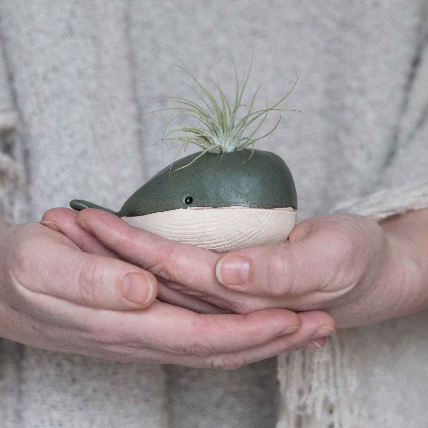 Whale Bud Vase Air Plant Holder - Habulous